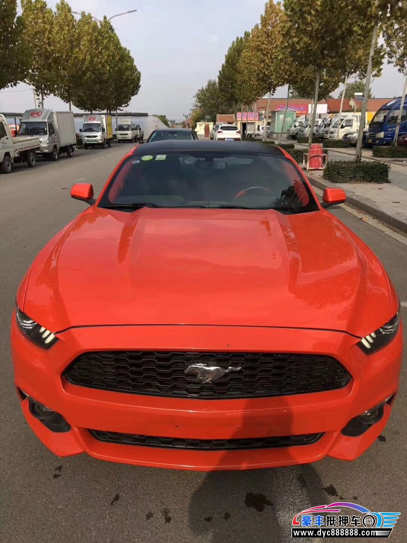 16年野马汽车c18豪华车 [已售]